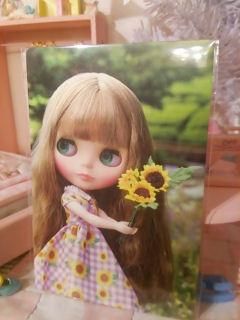 ブライス　ポストカードHH